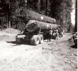 A three-log load of white fir. Homer Lake Timber Sale c.
1967.