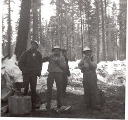 No time for tea as loggers eat lunch standing up and stir their coffee
with their thumbs. L-R: Timber faller Ben Jasper, Jack Hopkins, Cat
skinner Maurice Olson, and timber faller Sox
Stevens.